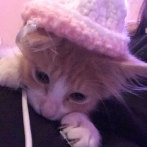 Meet your Posher, Patricia